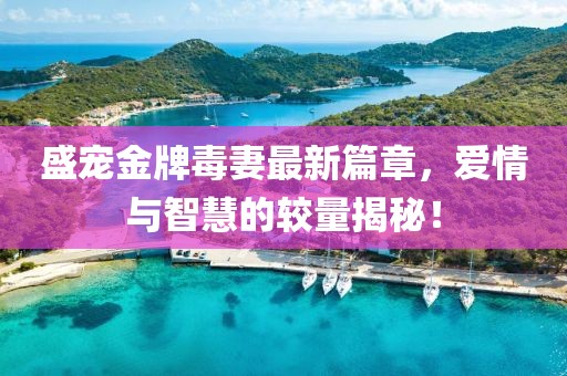 盛宠金牌毒妻最新篇章，爱情与智慧的较量揭秘！