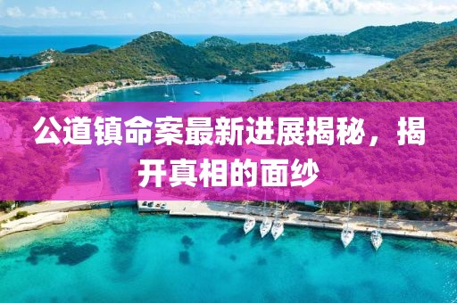 公道镇命案最新进展揭秘，揭开真相的面纱