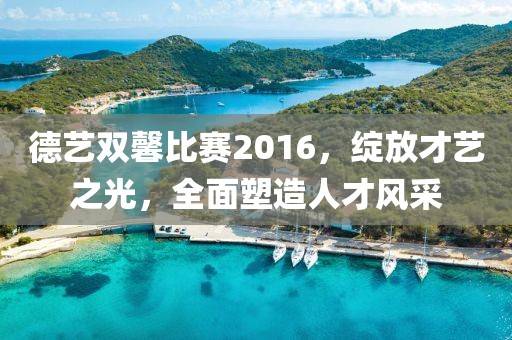 德艺双馨比赛2016，绽放才艺之光，全面塑造人才风采