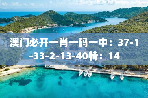 澳门必开一肖一码一中：37-1-33-2-13-40特：14
