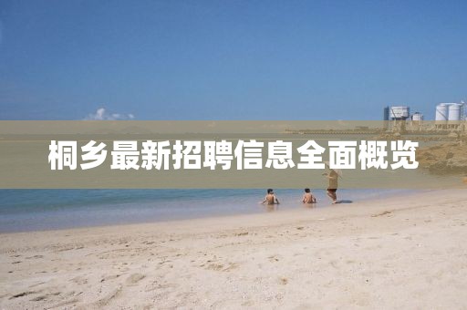 桐乡最新招聘信息全面概览