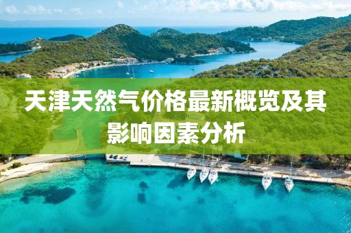 天津天然气价格最新概览及其影响因素分析