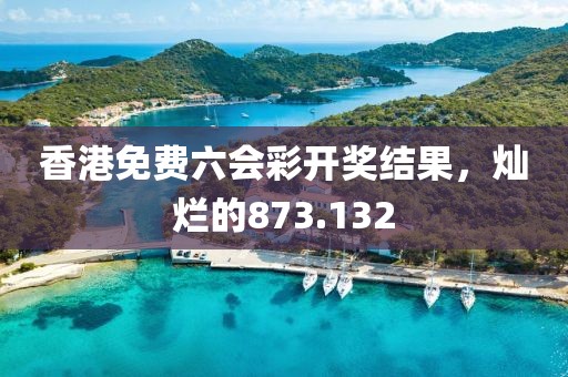 香港免费六会彩开奖结果，灿烂的873.132
