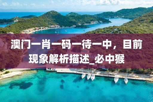 澳门一肖一码一待一中，目前现象解析描述_必中猴