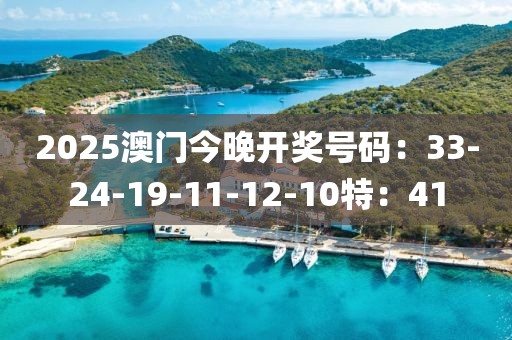 2025澳门今晚开奖号码：33-24-19-11-12-10特：41