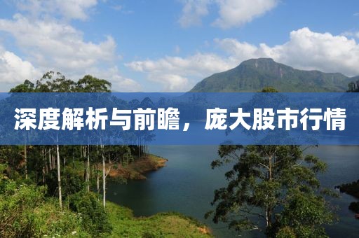 深度解析与前瞻，庞大股市行情