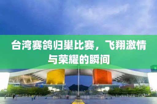 台湾赛鸽归巢比赛，飞翔激情与荣耀的瞬间