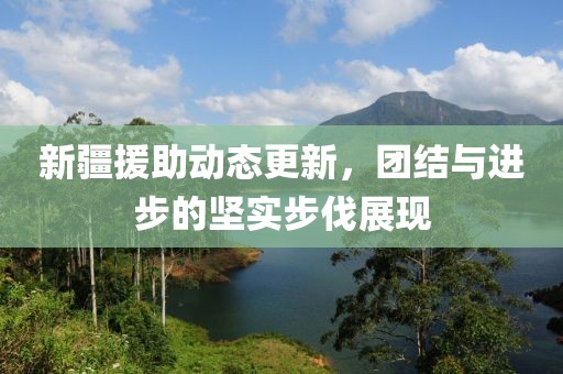 新疆援助动态更新，团结与进步的坚实步伐展现