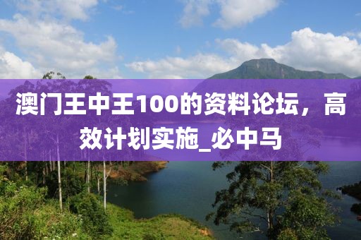 澳门王中王100的资料论坛，高效计划实施_必中马