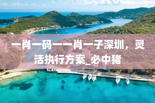 一肖一码一一肖一子深圳，灵活执行方案_必中猪