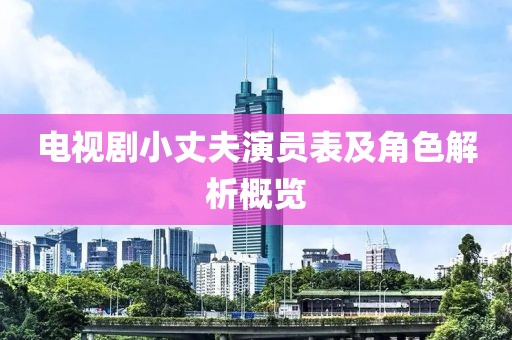 电视剧小丈夫演员表及角色解析概览