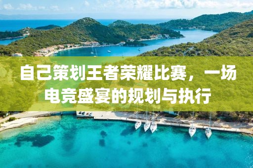 自己策划王者荣耀比赛，一场电竞盛宴的规划与执行