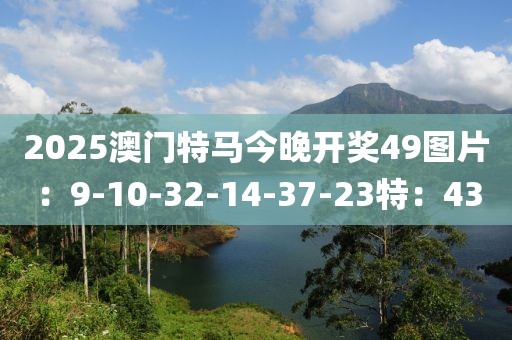 2025澳门特马今晚开奖49图片：9-10-32-14-37-23特：43