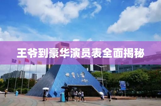 王爷到豪华演员表全面揭秘