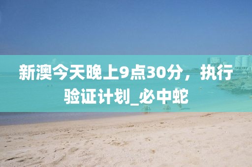 新澳今天晚上9点30分，执行验证计划_必中蛇
