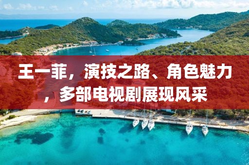 王一菲，演技之路、角色魅力，多部电视剧展现风采
