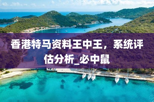 香港特马资料王中王，系统评估分析_必中鼠