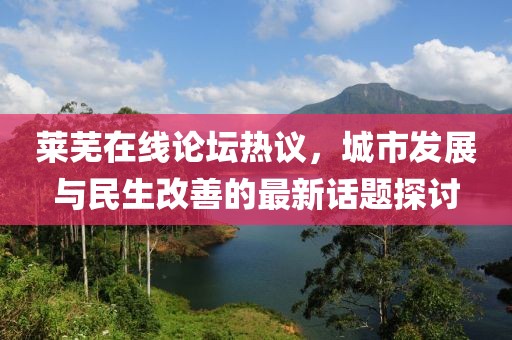 莱芜在线论坛热议，城市发展与民生改善的最新话题探讨