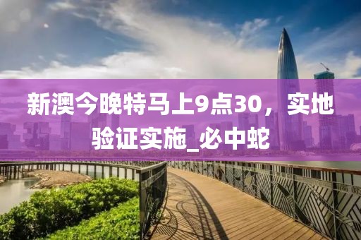 新澳今晚特马上9点30，实地验证实施_必中蛇