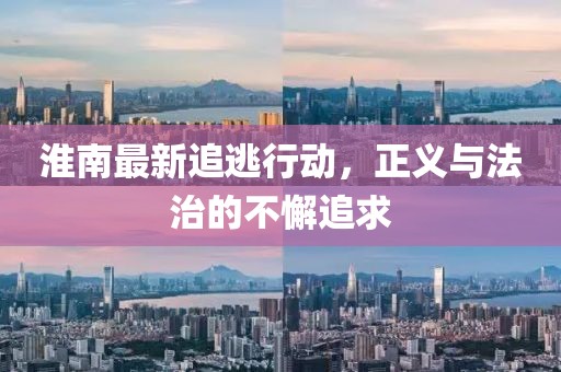 纵横藏锋 第5页