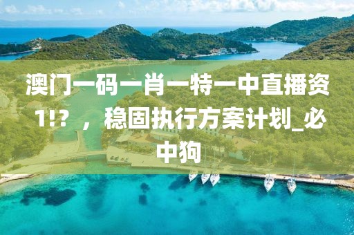 澳门一码一肖一特一中直播资 1!？，稳固执行方案计划_必中狗