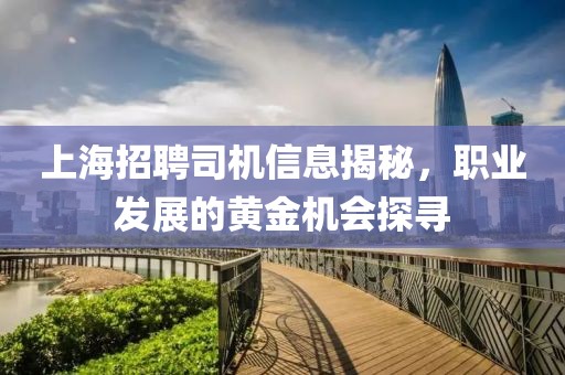 上海招聘司机信息揭秘，职业发展的黄金机会探寻