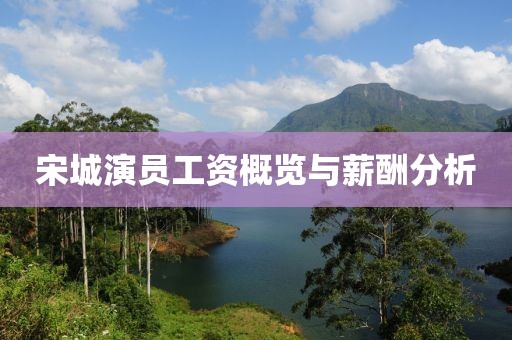宋城演员工资概览与薪酬分析