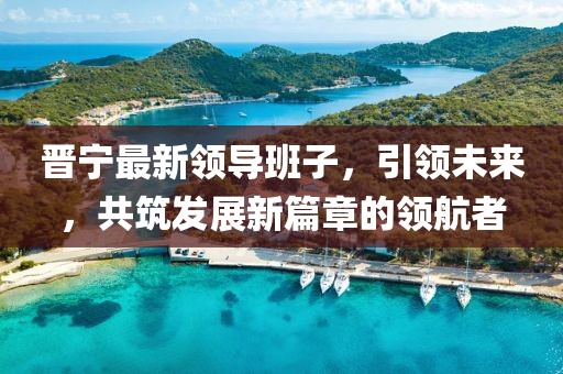 晋宁最新领导班子，引领未来，共筑发展新篇章的领航者
