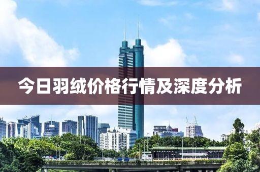 今日羽绒价格行情及深度分析