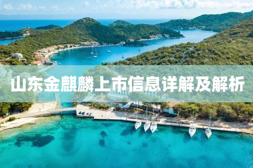 山东金麒麟上市信息详解及解析