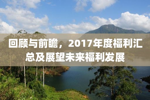 回顾与前瞻，2017年度福利汇总及展望未来福利发展