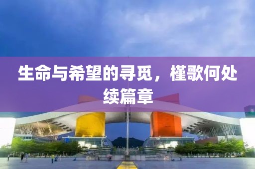 生命与希望的寻觅，槿歌何处续篇章