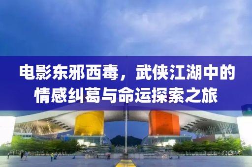 电影东邪西毒，武侠江湖中的情感纠葛与命运探索之旅