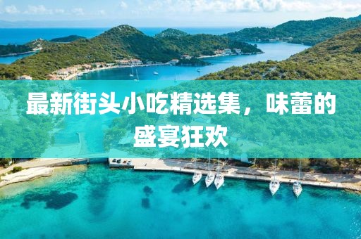 最新街头小吃精选集，味蕾的盛宴狂欢