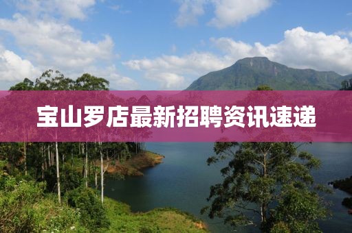 宝山罗店最新招聘资讯速递