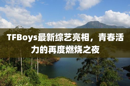 TFBoys最新综艺亮相，青春活力的再度燃烧之夜