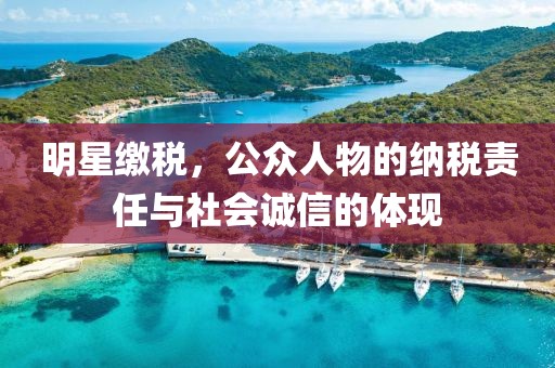 明星缴税，公众人物的纳税责任与社会诚信的体现