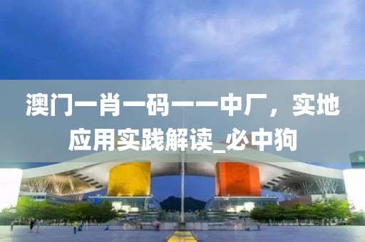 澳门一肖一码一一中厂，实地应用实践解读_必中狗
