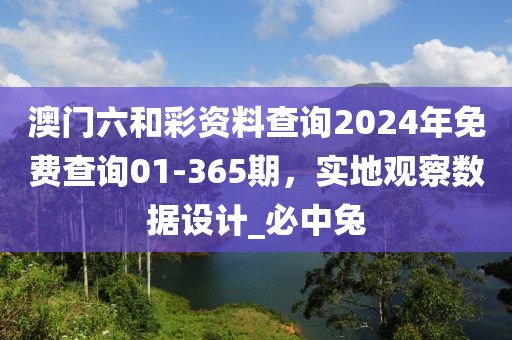 澳门六和彩资料查询2024年免费查询01-365期，实地观察数据设计_必中兔