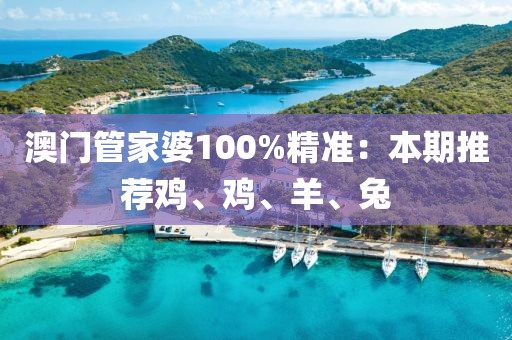 澳门管家婆100%精准：本期推荐鸡、鸡、羊、兔