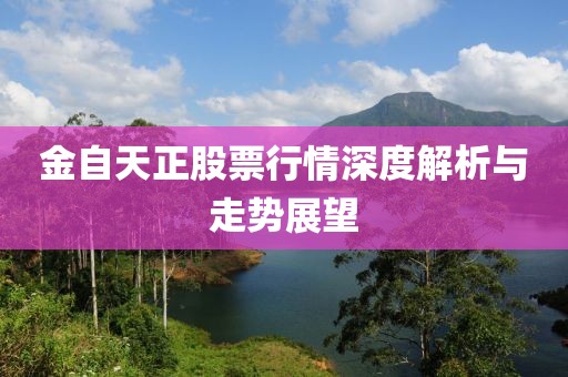金自天正股票行情深度解析与走势展望