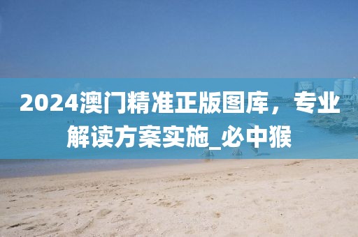 2024澳门精准正版图库，专业解读方案实施_必中猴