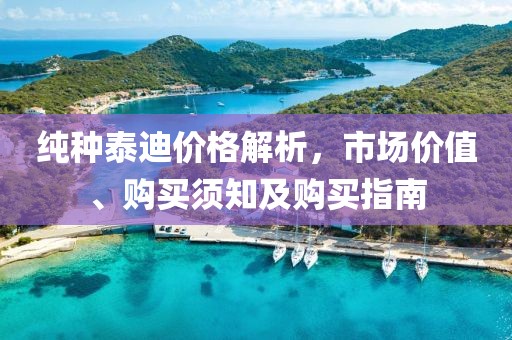 纯种泰迪价格解析，市场价值、购买须知及购买指南