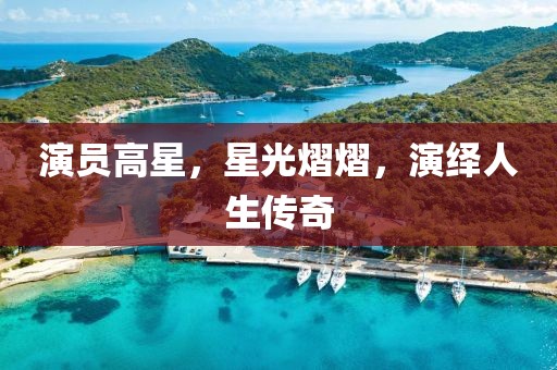 演员高星，星光熠熠，演绎人生传奇