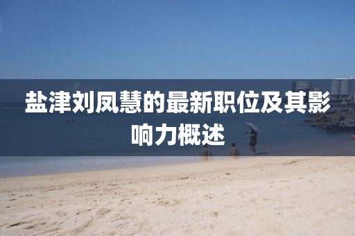盐津刘凤慧的最新职位及其影响力概述