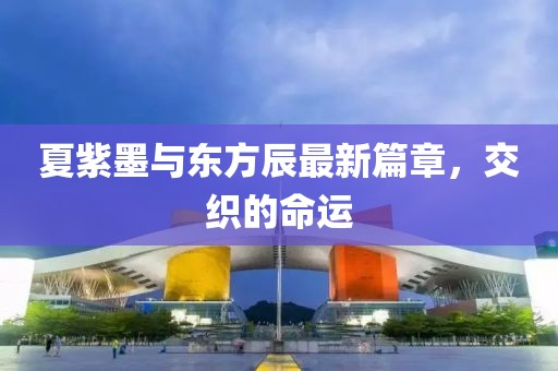 夏紫墨与东方辰最新篇章，交织的命运