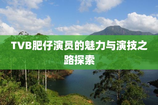 TVB肥仔演员的魅力与演技之路探索