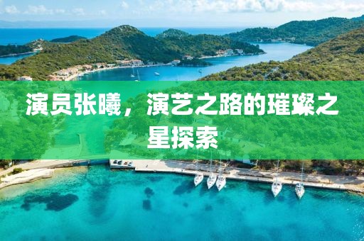 演员张曦，演艺之路的璀璨之星探索
