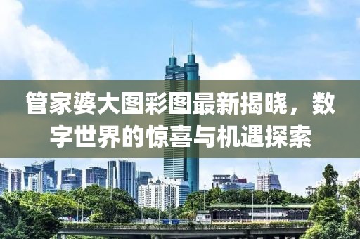 管家婆大图彩图最新揭晓，数字世界的惊喜与机遇探索