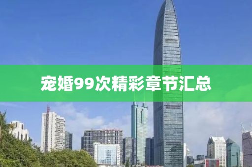 宠婚99次精彩章节汇总